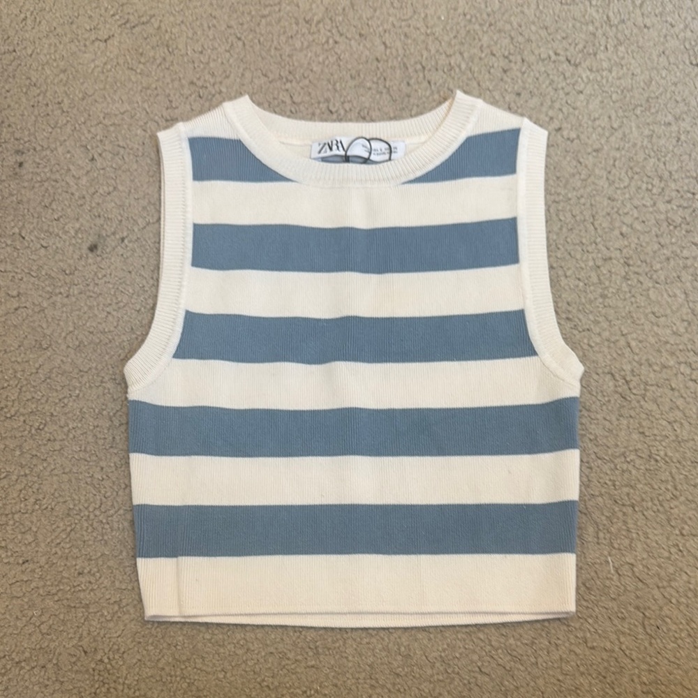 Zara Blue and White Striped Crop Top